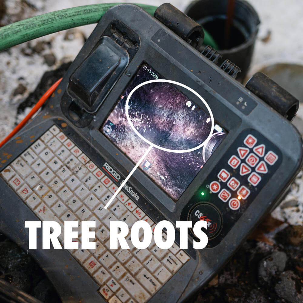 Main Sewer Line Backup Resolved