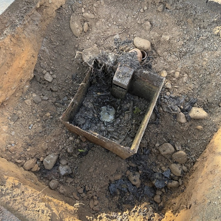 Root growth beginning to reduce drainage efficiency